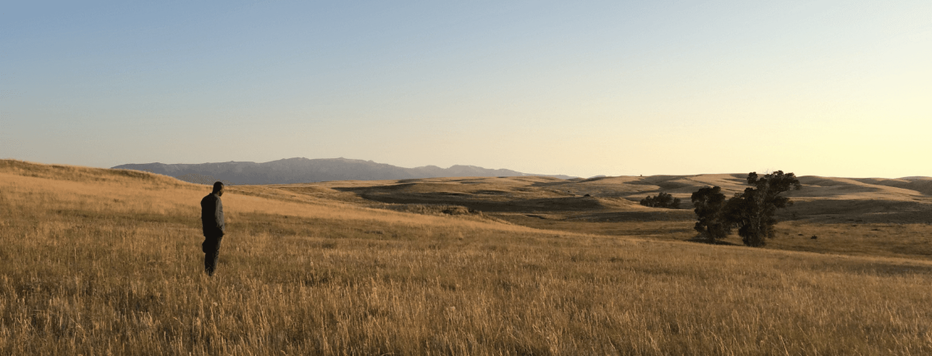Una persona si trova in un prato dorato e ammira le dolci colline e le montagne in lontananza sotto un cielo serale pallido.