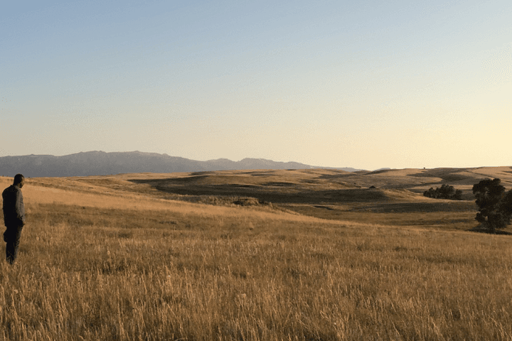A person stands in a golden meadow, gazing at rolling hills and distant mountains beneath a pale evening sky.