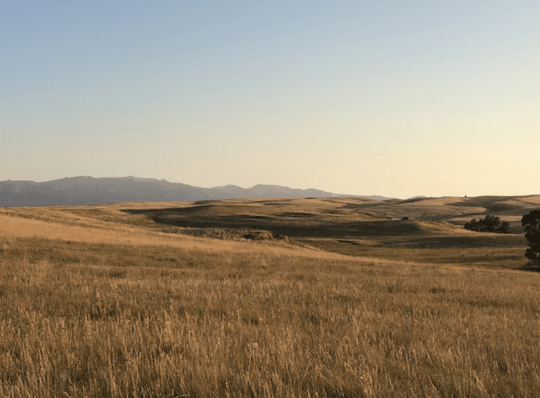 Eine Person steht in einer goldenen Wiese und blickt auf sanfte Hügel und ferne Berge unter einem blassen Abendhimmel.