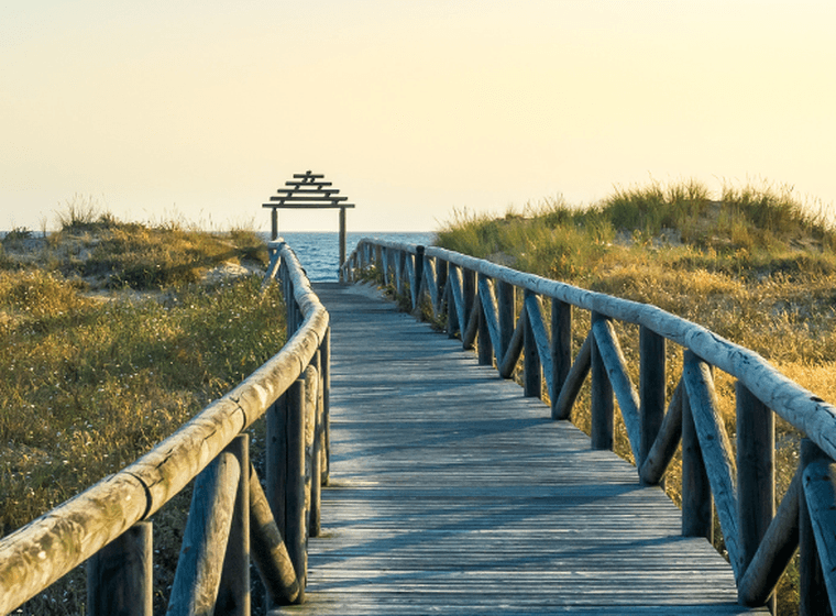 Un pontó de fusta és l'entrada a la platja, amb vegetació salvatge a banda i banda.