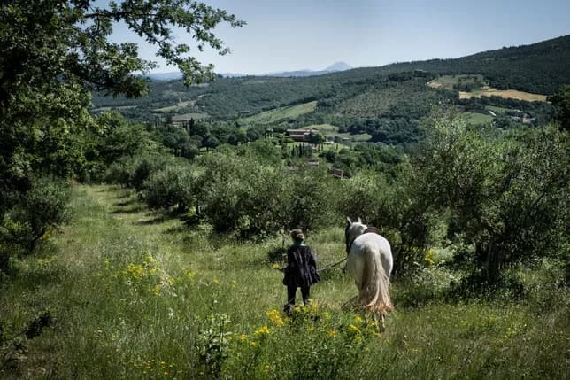 Eine Person führt ein weißes Pferd auf einem grasbewachsenen Pfad durch einen sonnenbeschienenen Olivenhain an einem Hang, im Hintergrund sind Täler und Berge zu sehen.