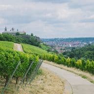 Grüner Weinberg mit Weg zur Festung Marienberg und Stadtpanorama von Würzburg – typisch fränkische Landschaft mit historischem Flair