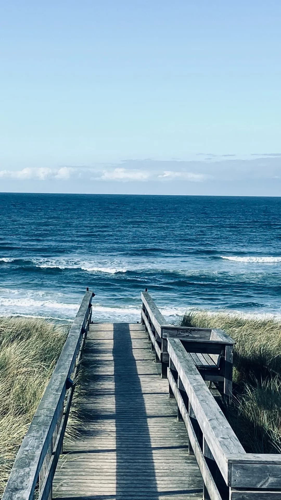 A weathered wooden boardwalk winds through tall dune grass toward the blue sea and the horizon beneath a clear sky.