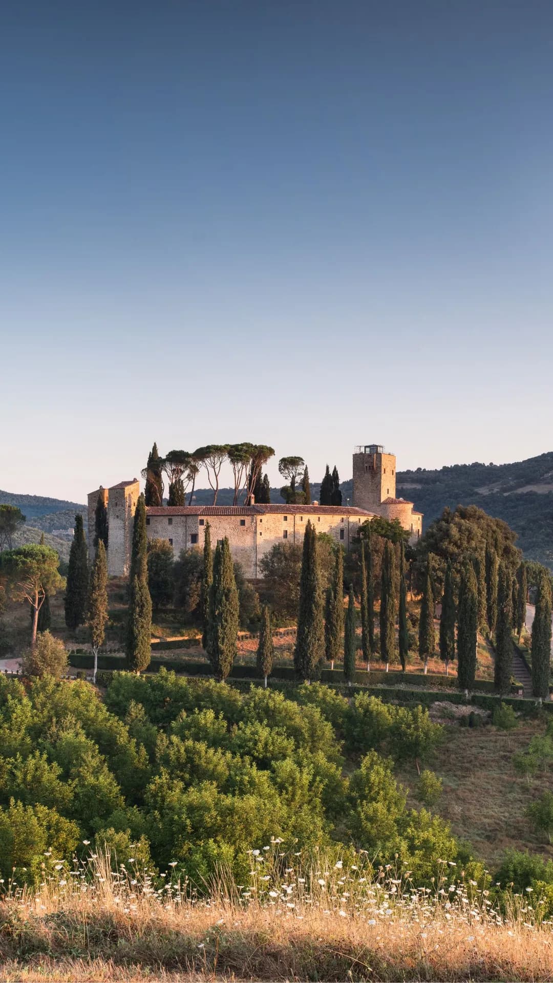 A sun-drenched medieval castle on a hill, with a tower set amongst tall cypress trees, overlooking rolling green hills beneath a brilliant blue sky.