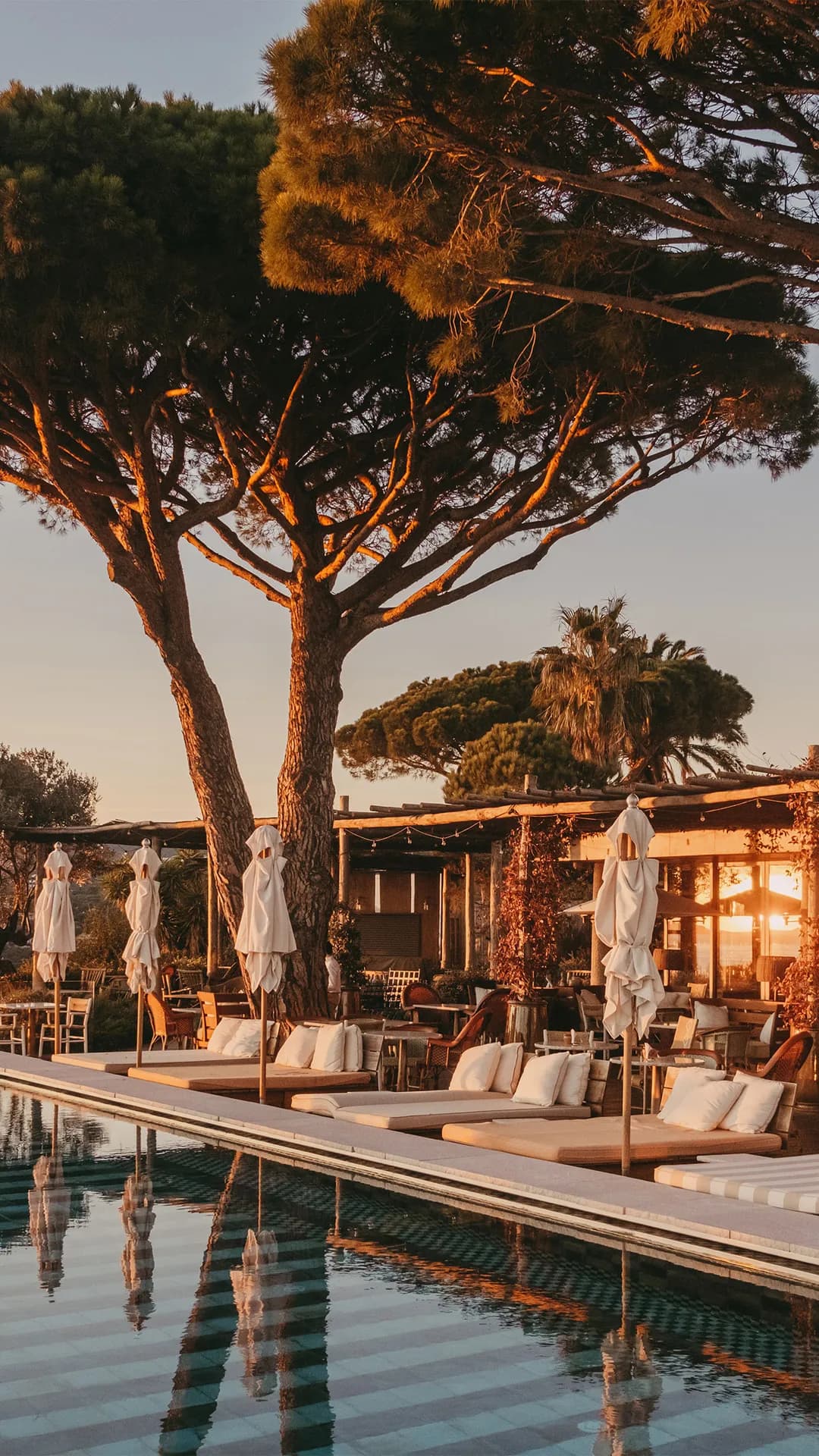 Golden-hour poolside with a large sunlit tree, white cushioned loungers, closed umbrellas, and a reflective striped pool.