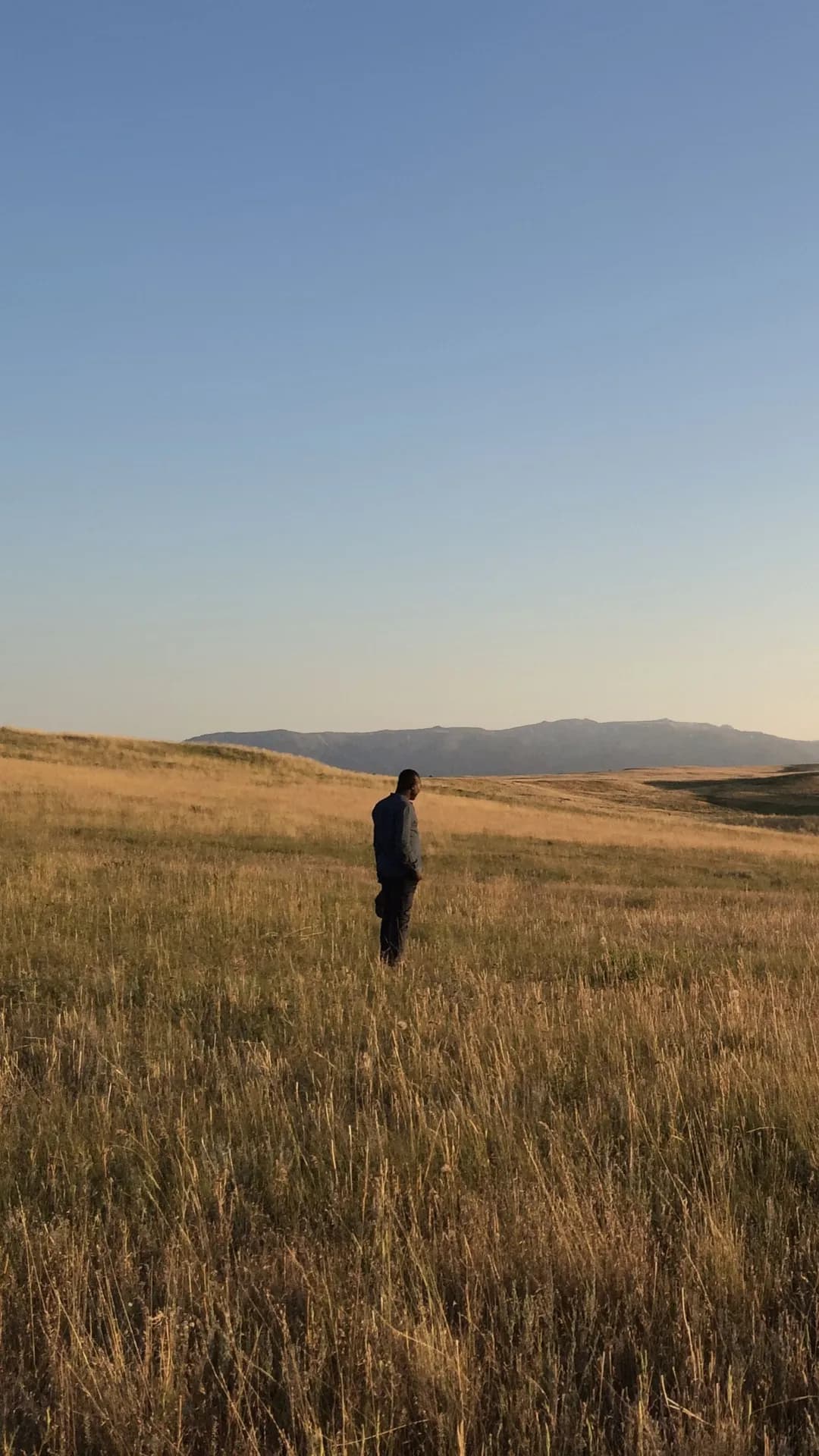 A solitary figure stands in a field of golden-yellow grass; on the horizon, against the clear blue sky at sunset, distant hills can be seen.