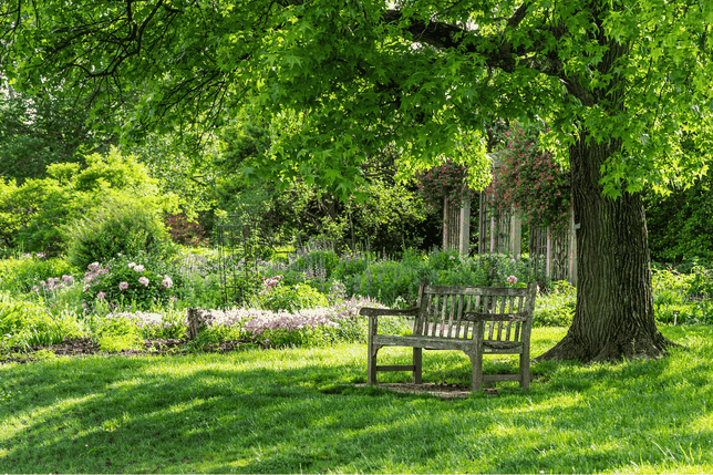 Eine Holzbank unter einem Laubbaum in einem blühenden Garten mit bunten Blumen und üppigem Grün