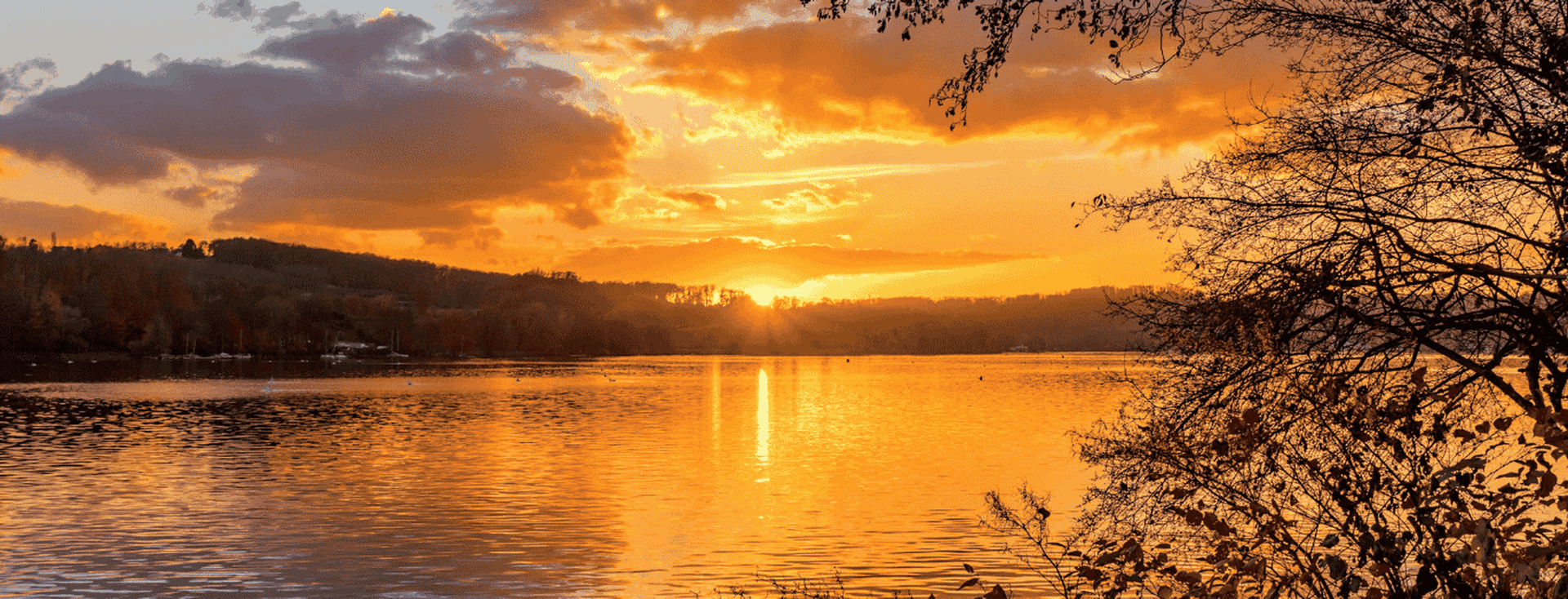 Sunset over a tranquil lake with golden reflections, surrounded by silhouetted trees and a partly cloudy sky.