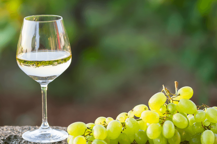 Silves_entre_vinhas_e_colinas_descubra_o_enoturismo_no_coracao_do_Algarve