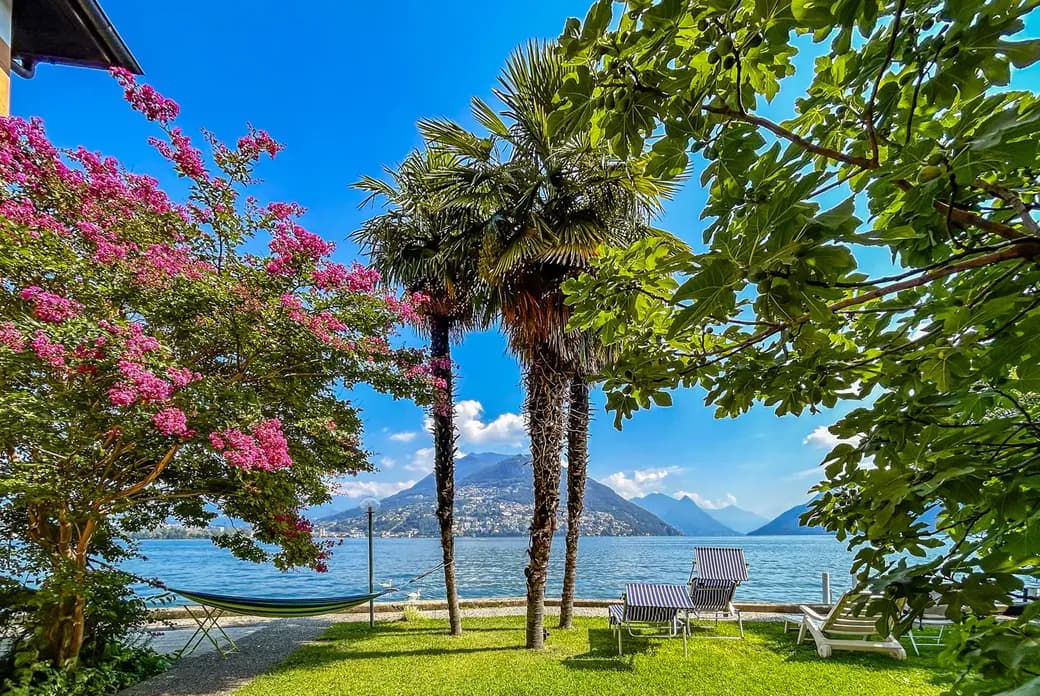 Gartenanlage mit Palmen und Liegestühlen mit Blick auf den Luganersee