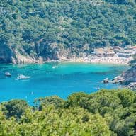 Vista panorámica de una cala de playa con agua turquesa, botes y una playa de arena llena de gente. Árboles verdes y exuberantes rodean la cala.