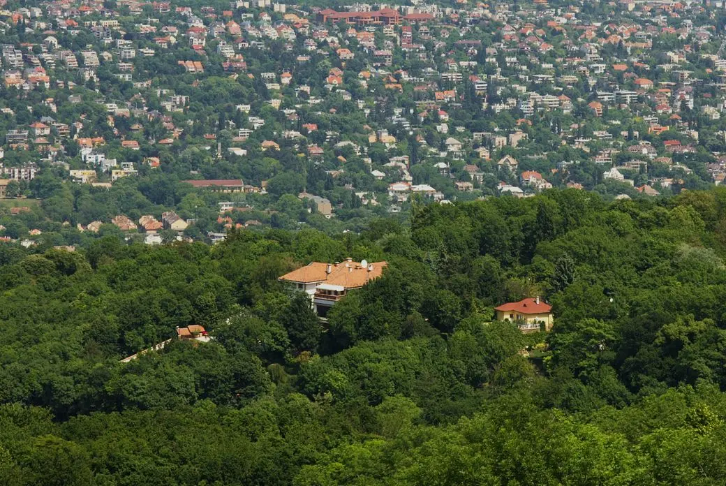 Hillside suburb densely packed with trees and houses; foreground shows lush forest and orange-roofed homes.