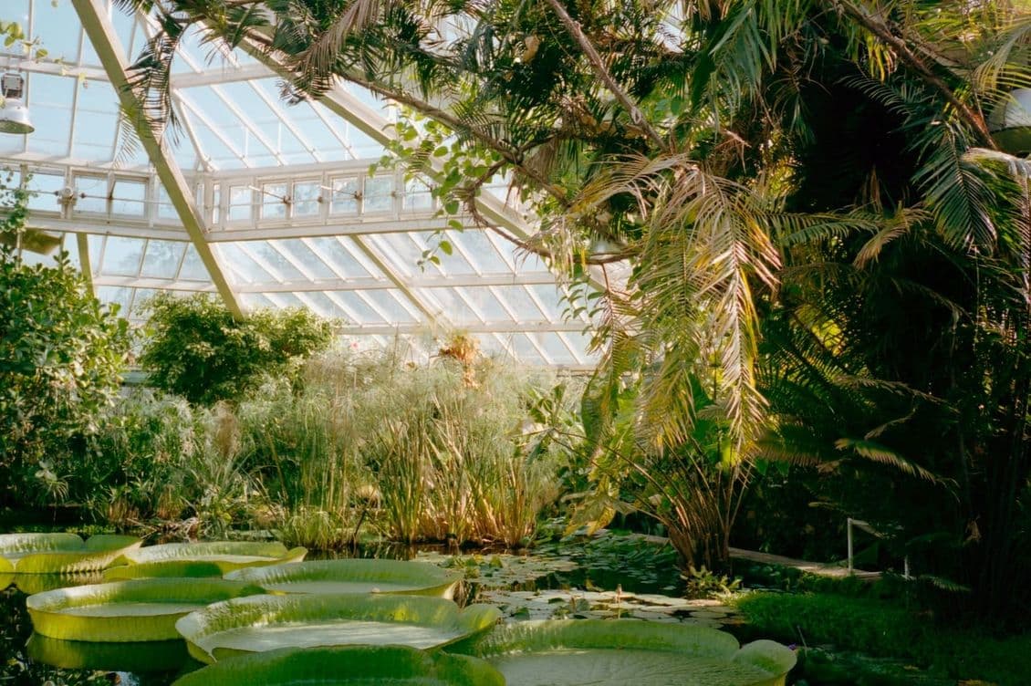 Botanischer Garten in Berlin Steglitz-Zehlendorf