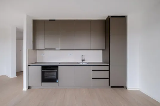 Modern minimalist kitchen with matte gray cabinets, built-in oven and stove, stainless sink, and a tall pantry on the right; light wood floor.