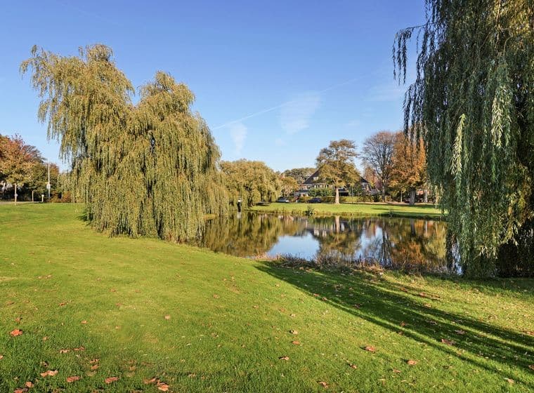 Scenic view of a pond reflecting trees and houses under a blue sky. Green grass in the foreground.