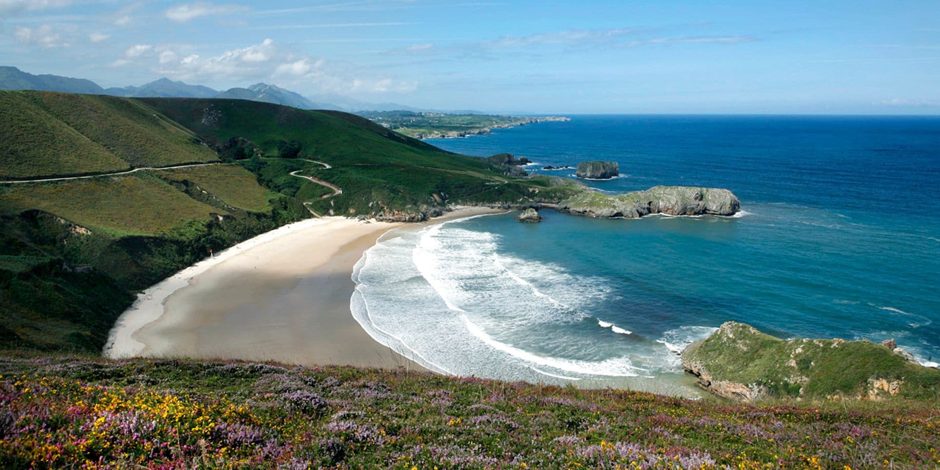 Vista panoràmica d'una platja de sorra amb aigua turquesa, turons verds i flors silvestres sota un cel blau.