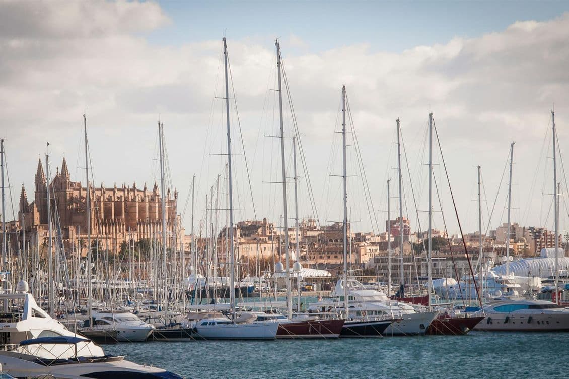 Sailboats in the marina of Mallorca, with the cathedral visible in the background.
