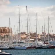 Sailboats in the marina of Mallorca, with the cathedral visible in the background.