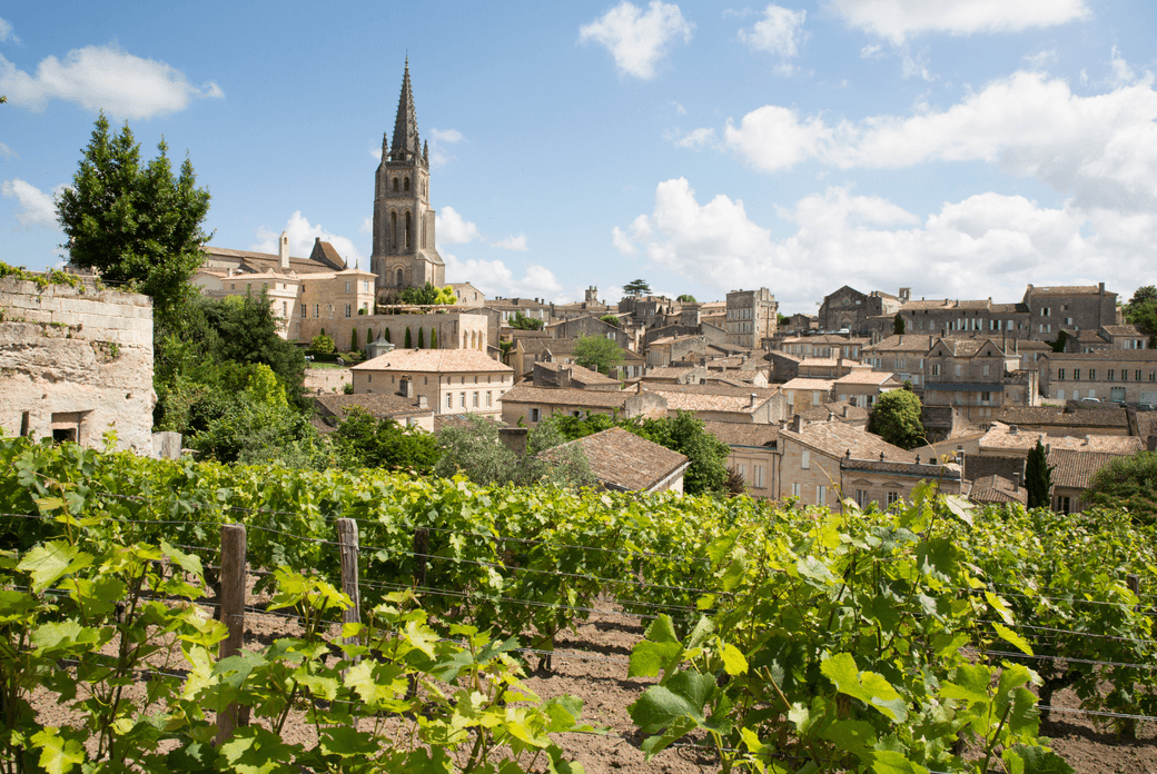 Photo de vignes dans la région bordelaise en France