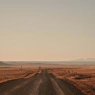 A dirt road stretches through a vast, golden prairie under a pale sky, leading to distant mountains. Fences line the road, with a windmill visible in the field.