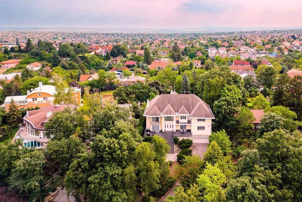 Aerial view of a suburban area with a large house surrounded by lush trees, other homes, and a vast expanse of rooftops under a cloudy sky.