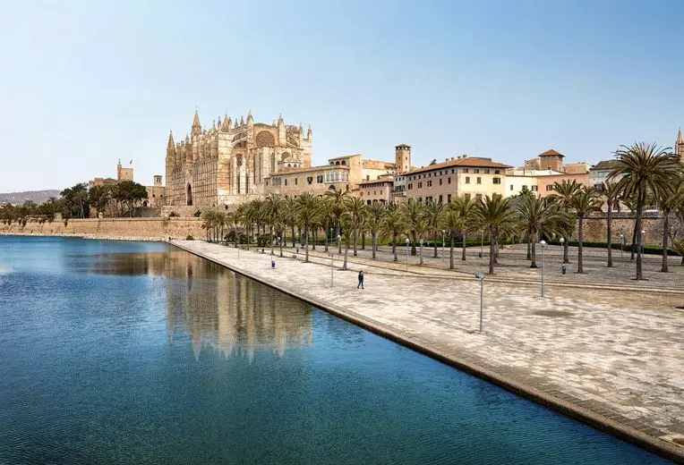 View of Palma de Mallorca's Gothic cathedral, La Seu, along the waterfront promenade lined with palm trees. The imposing sandstone cathedral with its spires and flying buttresses is reflected in the calm waters of the Mediterranean, with historic buildings and the palm-lined Parc de la Mar in the foreground.