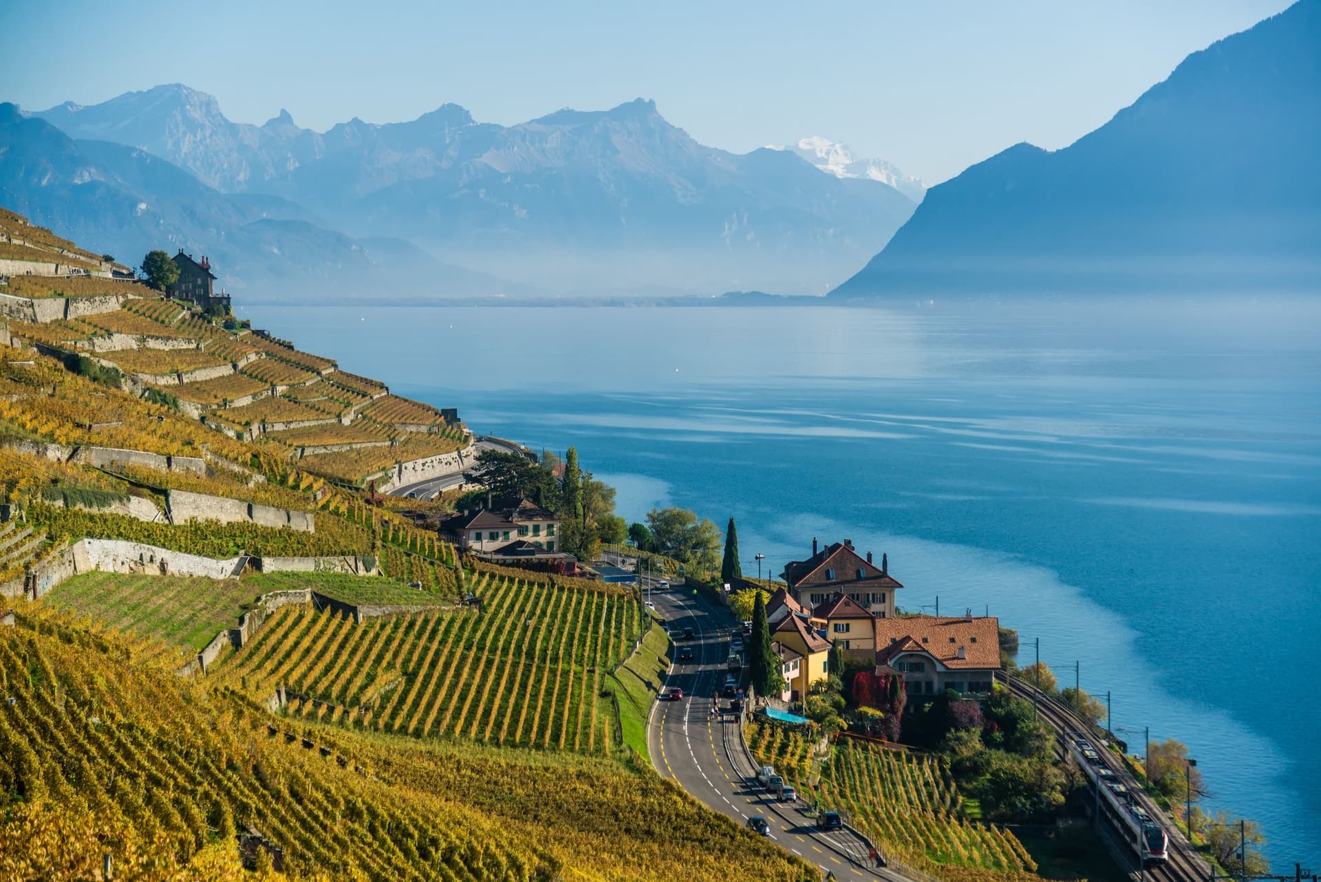Terraced vineyards along a lakeshore with a winding road and houses, set against a calm blue lake and distant blue mountains