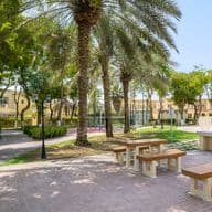 The Springs community’s green park spaces