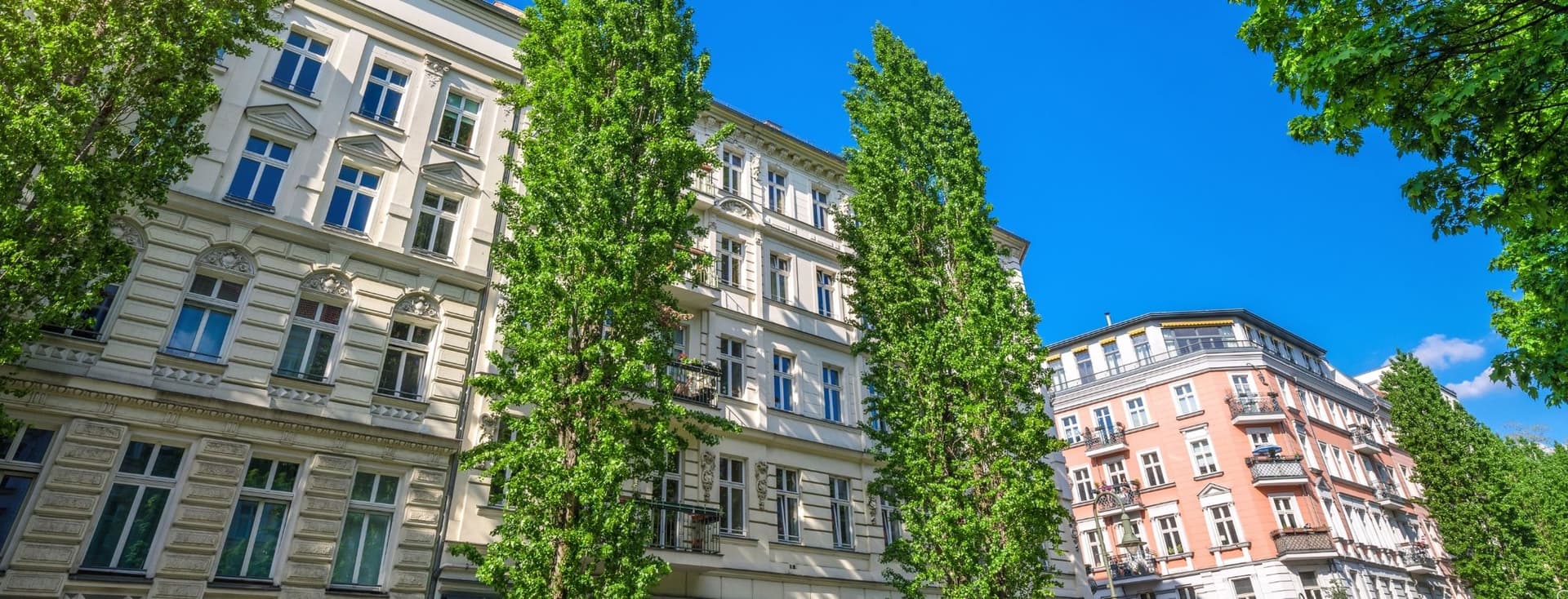 Historische europäische Mehrfamilienhäuser in Prenzlauer Berg mit kunstvollen Fassaden vor strahlend blauem Himmel, umgeben von hohen grünen Bäumen.