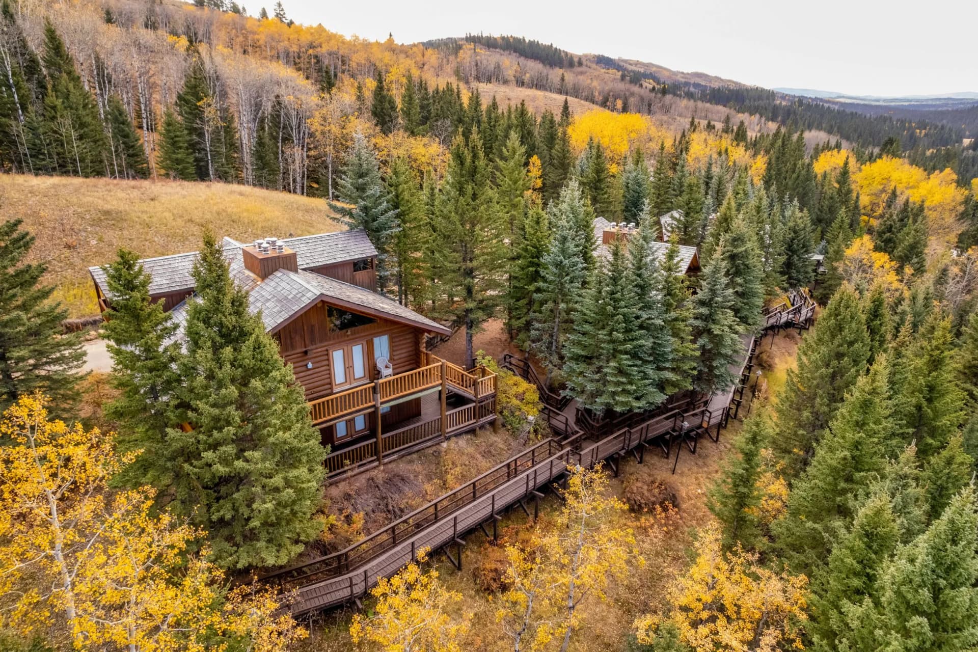 Aerial view of log cabins nestled in an autumnal forest of conifers and aspens, with golden foliage and a long wooden boardwalk winding through the trees.