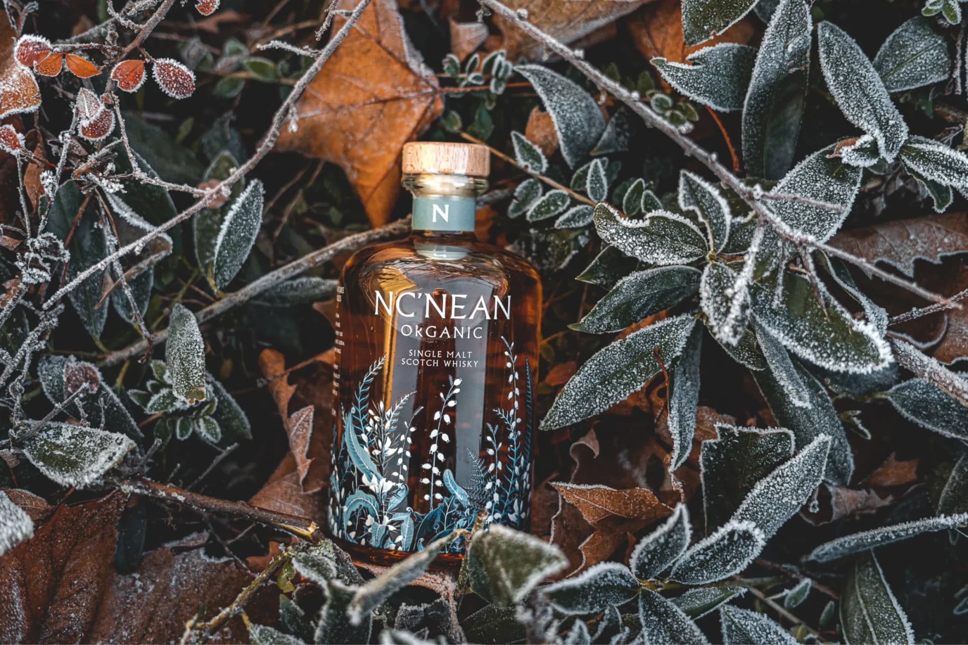 Amber glass bottle with a cork stopper nestled in frost-covered leaves and twigs.