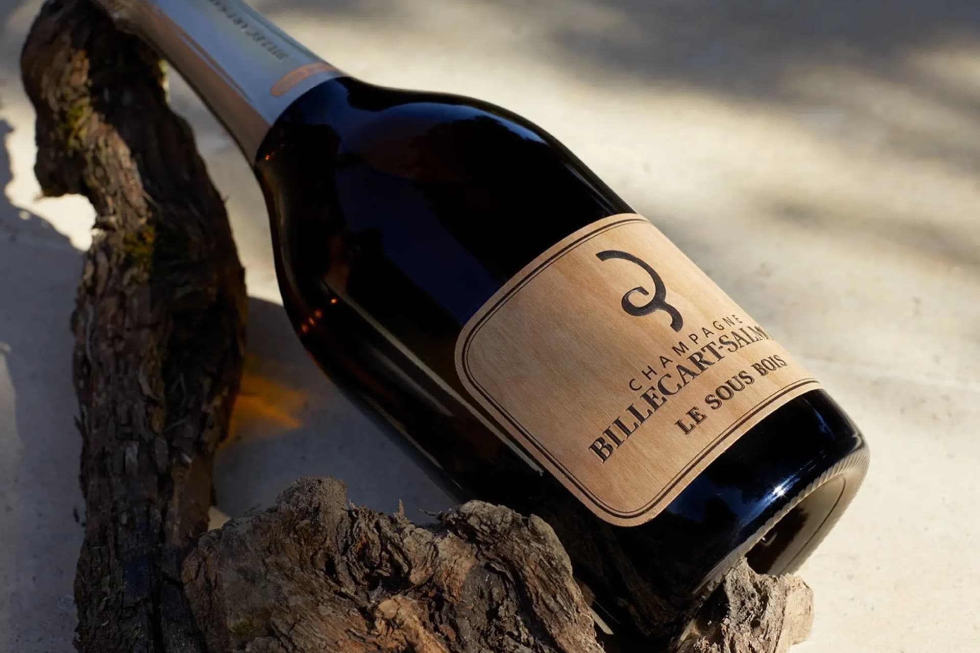 Une bouteille de champagne est posée à l'extérieur sur un tronc d'arbre brut ; on y voit une étiquette beige comportant un texte en français et un arrière-plan légèrement flou.