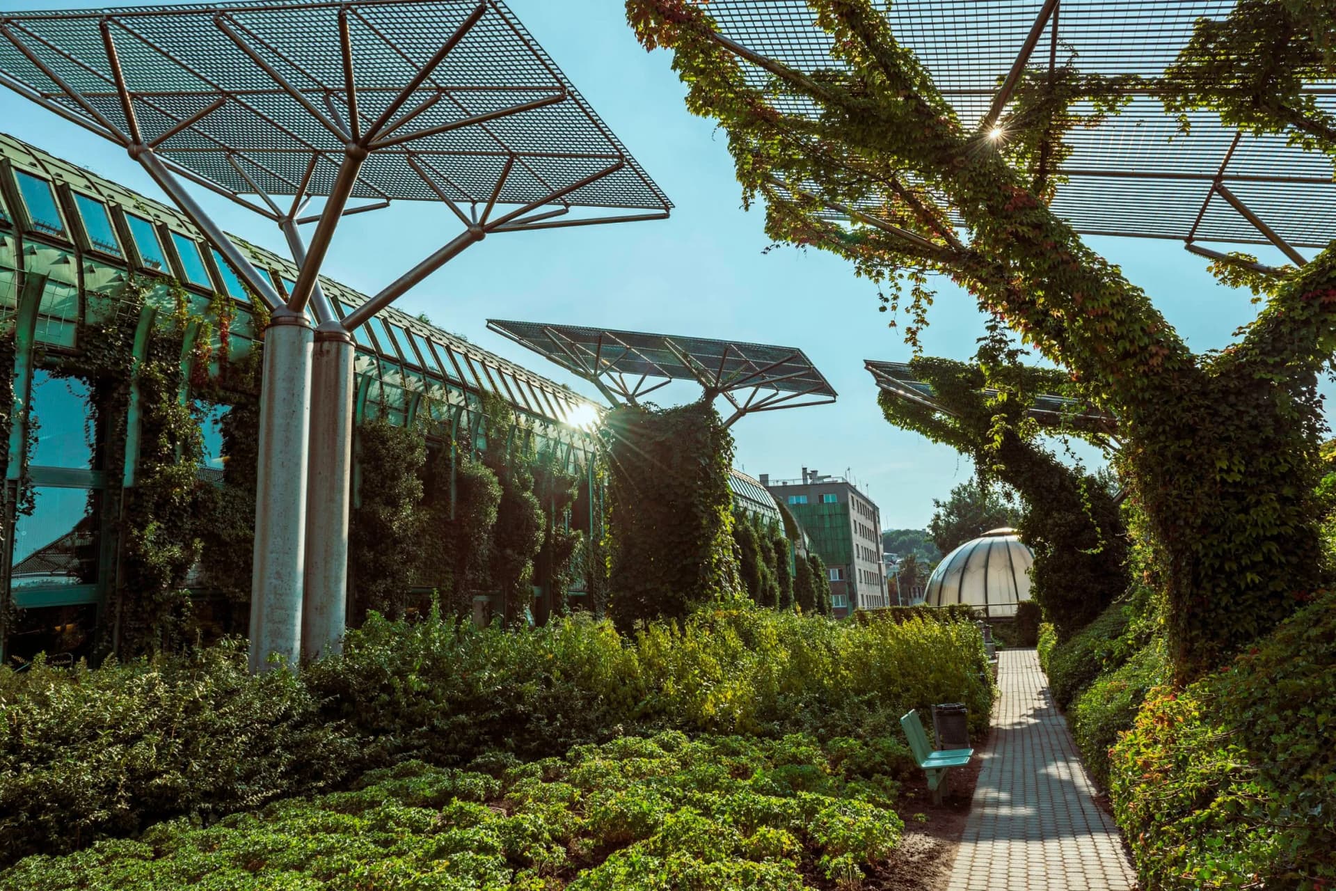 A modern glass building with metal grid shade structures and climbing ivy, in a sunlit courtyard with a paved path and a green bench.