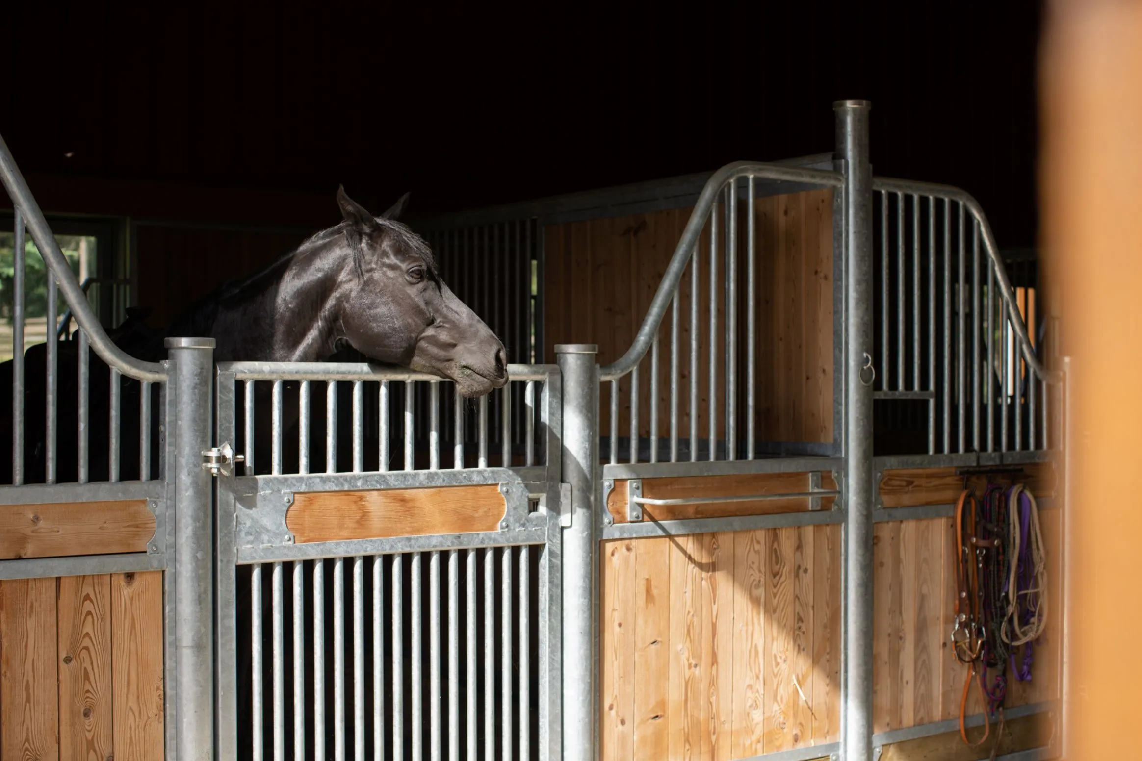 An outsider rests his head on a metal bar inside a wooden box.