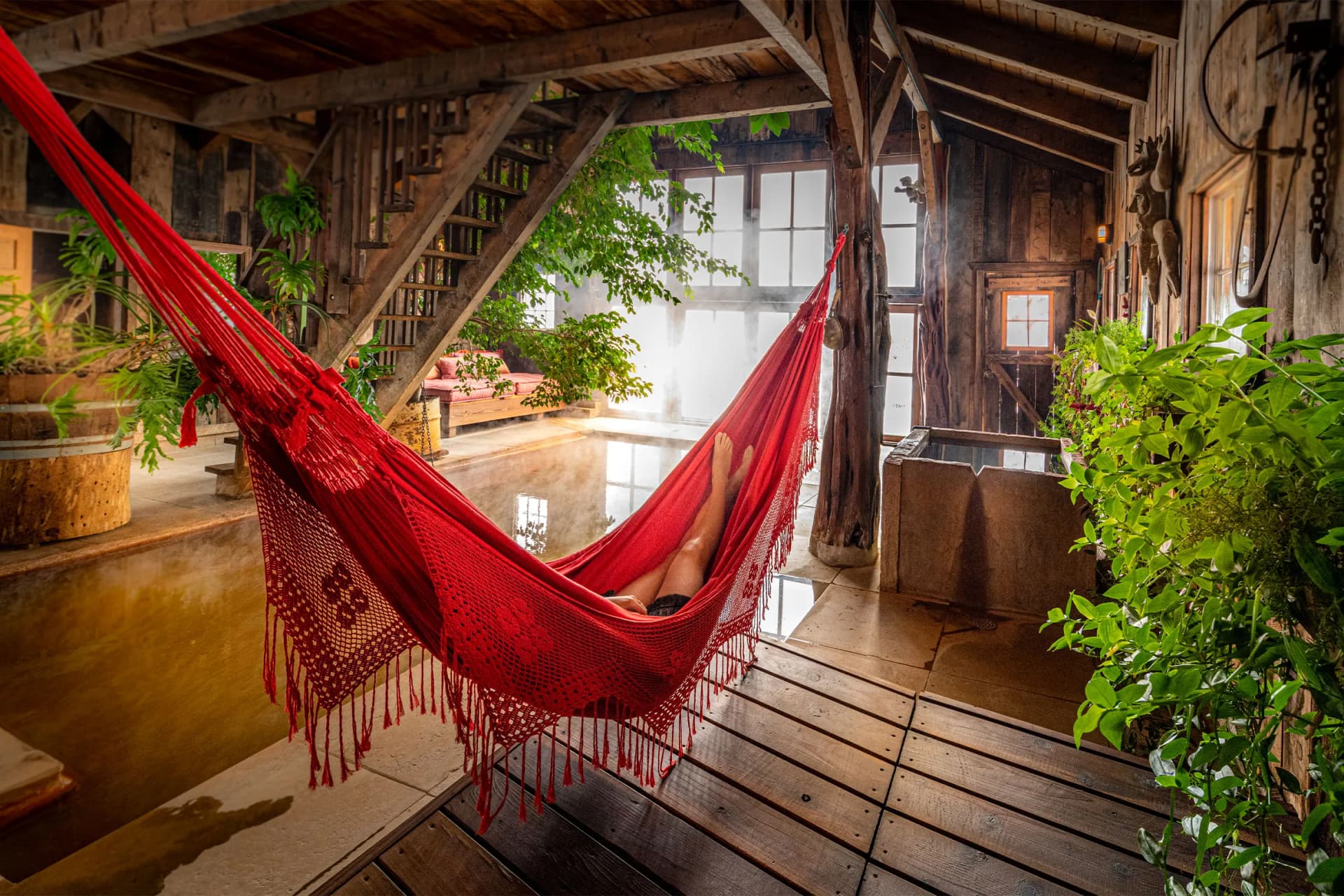 Rustic wooden room with exposed beams, a bright red hammock, lush plants, and large sunlit windows; legs extend from the hammock over a shallow pool.