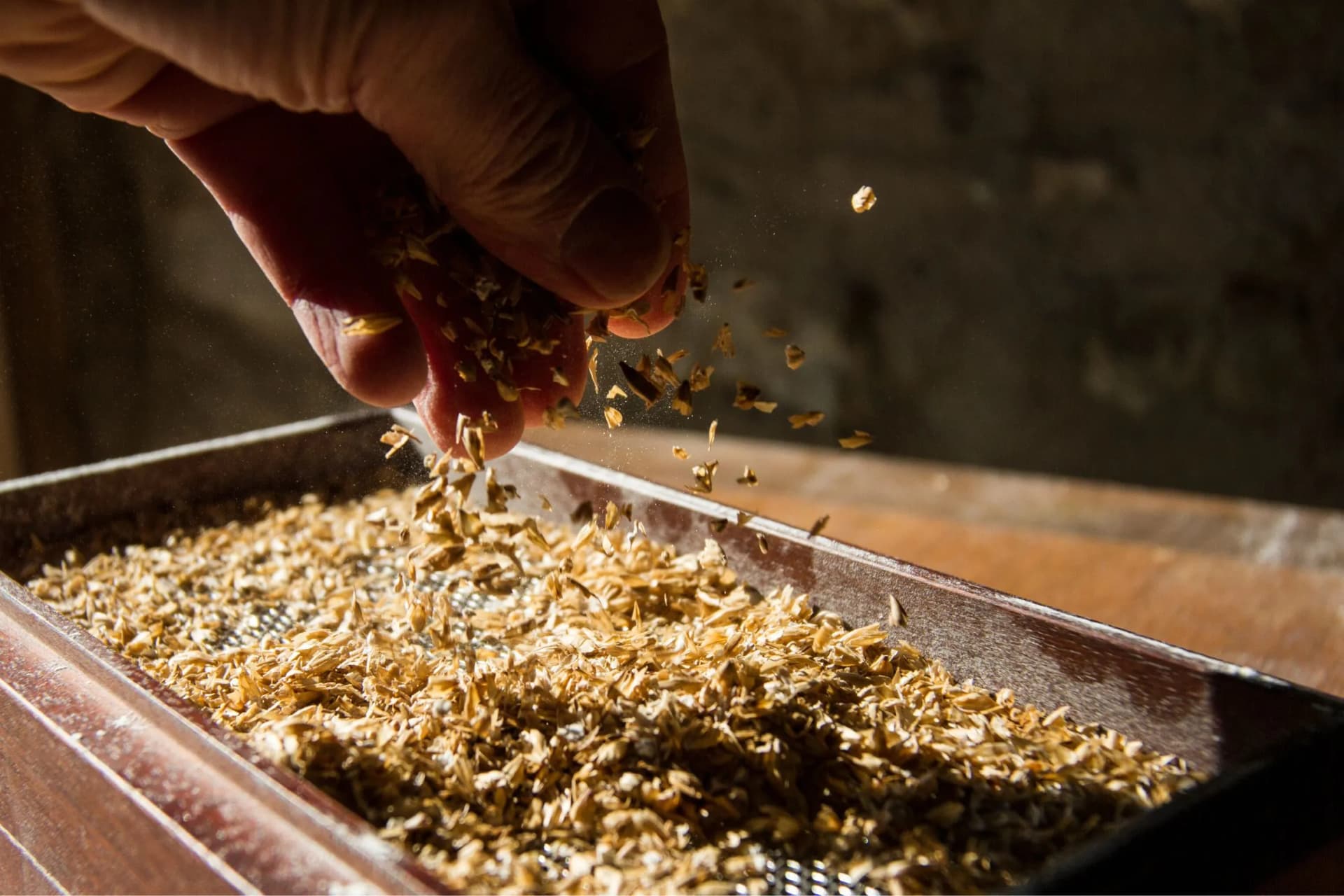 A hand sprinkles grain flakes into a metal tray.