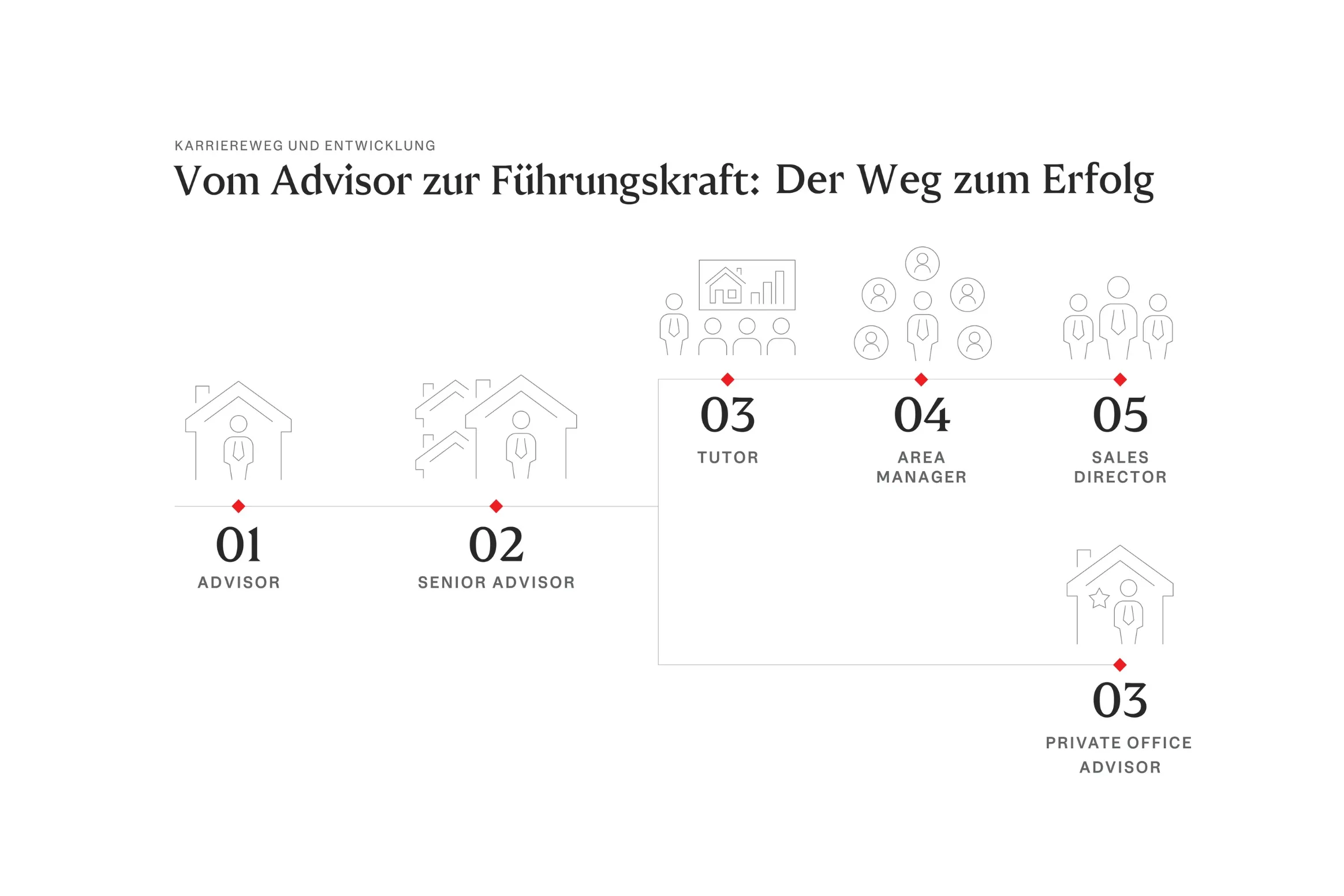 Infografik, die den Karrierepfad vom Advisor zur Führungskraft zeigt, mit den Stufen: 01 Advisor, 02 Senior Advisor, 03 Tutor, 04 Area Manager, 05 Sales Director.