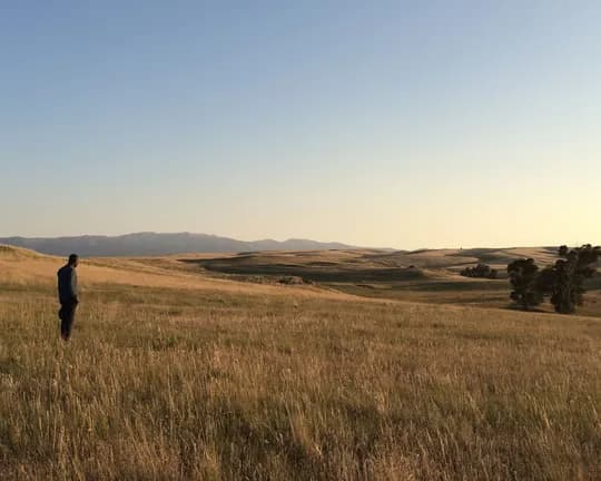 A solitary figure stands in a field of golden-yellow grass; on the horizon, distant hills can be seen beneath the clear blue sky at sunset.
