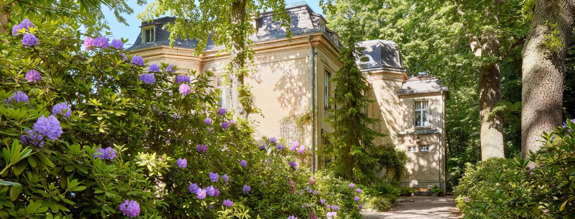 Sunlit garden with purple rhododendrons around a beige historic building; a gravel path winds past tall trees.