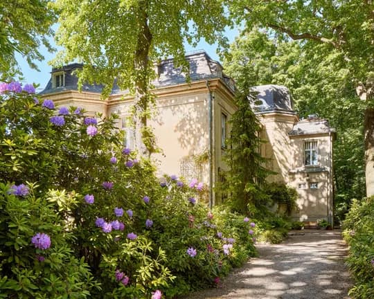A sun-drenched garden with purple rhododendrons surrounding a beige-coloured historic building; a gravel path winds its way past tall trees.