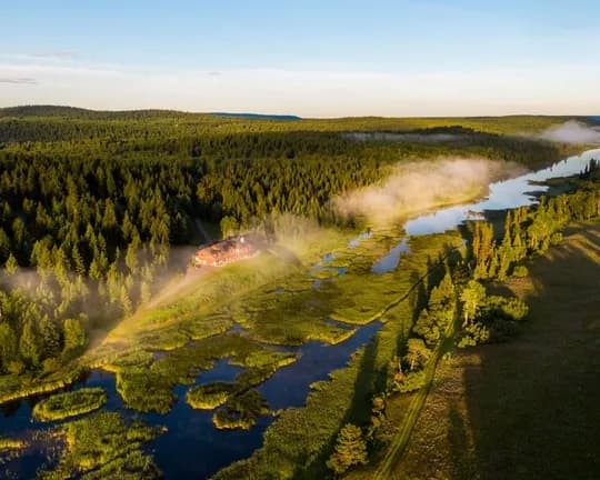 An aerial view of dense woodland, a meandering river, a house with a red roof and morning mist over wetlands.