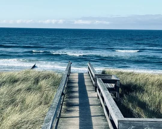 A weathered wooden boardwalk winds through tall dune grass toward the blue sea and the horizon beneath a clear sky.