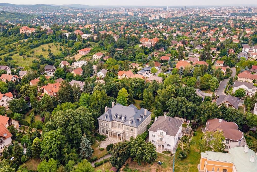 Aerial view of a suburban area with a mix of large houses, lush greenery, and distant cityscape on a clear day.