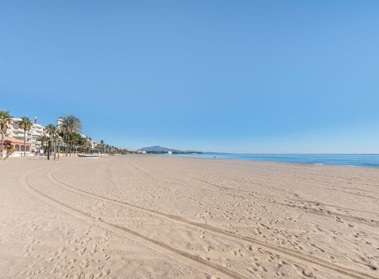 Platja d'Estepona amb palmeres i edificis. Sorra fina i el mar.