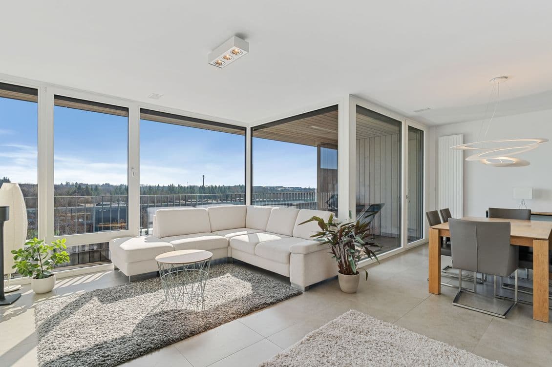 Bright modern living space with expansive glass walls, white sectional sofa, gray shag rug, potted plants, and a wooden dining table with gray chairs.