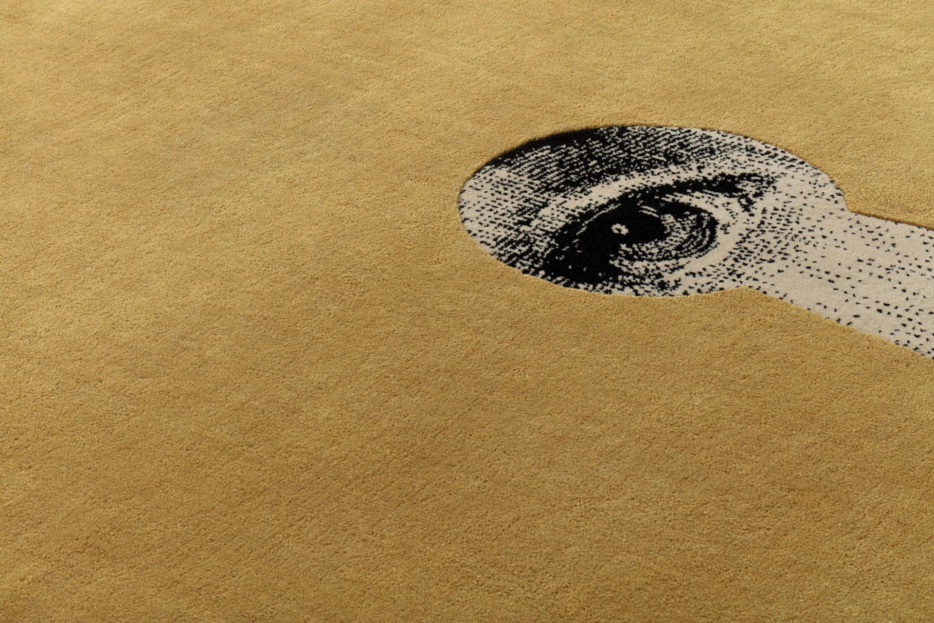 Close-up of golden sand with a large black-and-white speckled oval patch on the right.