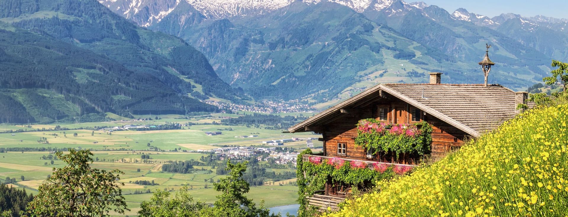 Traditional Alpine chalet with wooden construction and flower boxes perched on hillside surrounded by vibrant yellow wildflowers, overlooking dramatic snow-capped mountain peaks and green valley under clear blue sky
