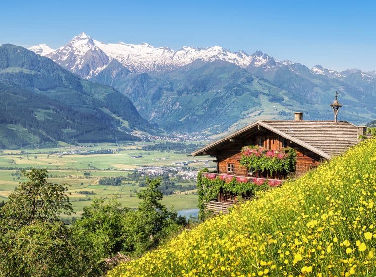 Traditional Alpine chalet with wooden construction and flower boxes perched on hillside surrounded by vibrant yellow wildflowers, overlooking dramatic snow-capped mountain peaks and green valley under clear blue sky