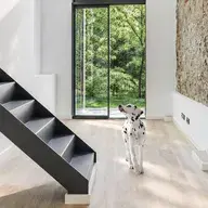 Minimalistisches Interieur mit einer schwarzen Metalltreppe, weißen Wänden und einem Dalmatiner auf einem hellen Holzboden. Im Hintergrund führt eine Terrassentür in den grünen Garten
