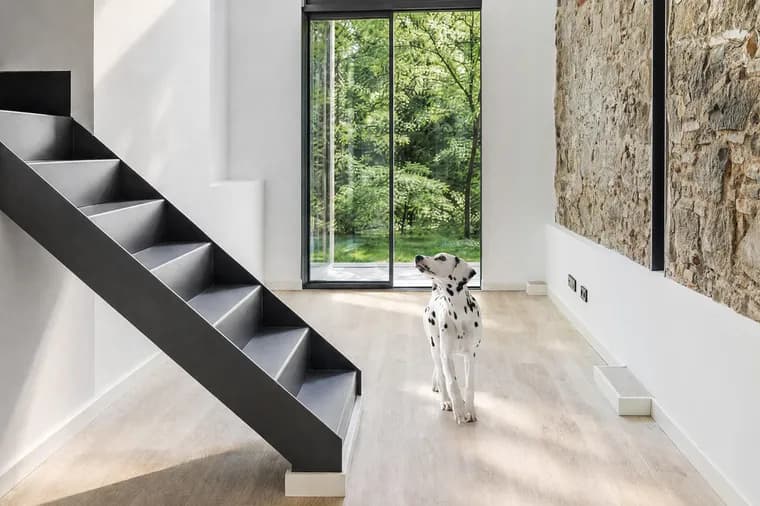Minimalistisches Interieur mit einer schwarzen Metalltreppe, weißen Wänden und einem Dalmatiner auf einem hellen Holzboden. Im Hintergrund führt eine Terrassentür in den grünen Garten